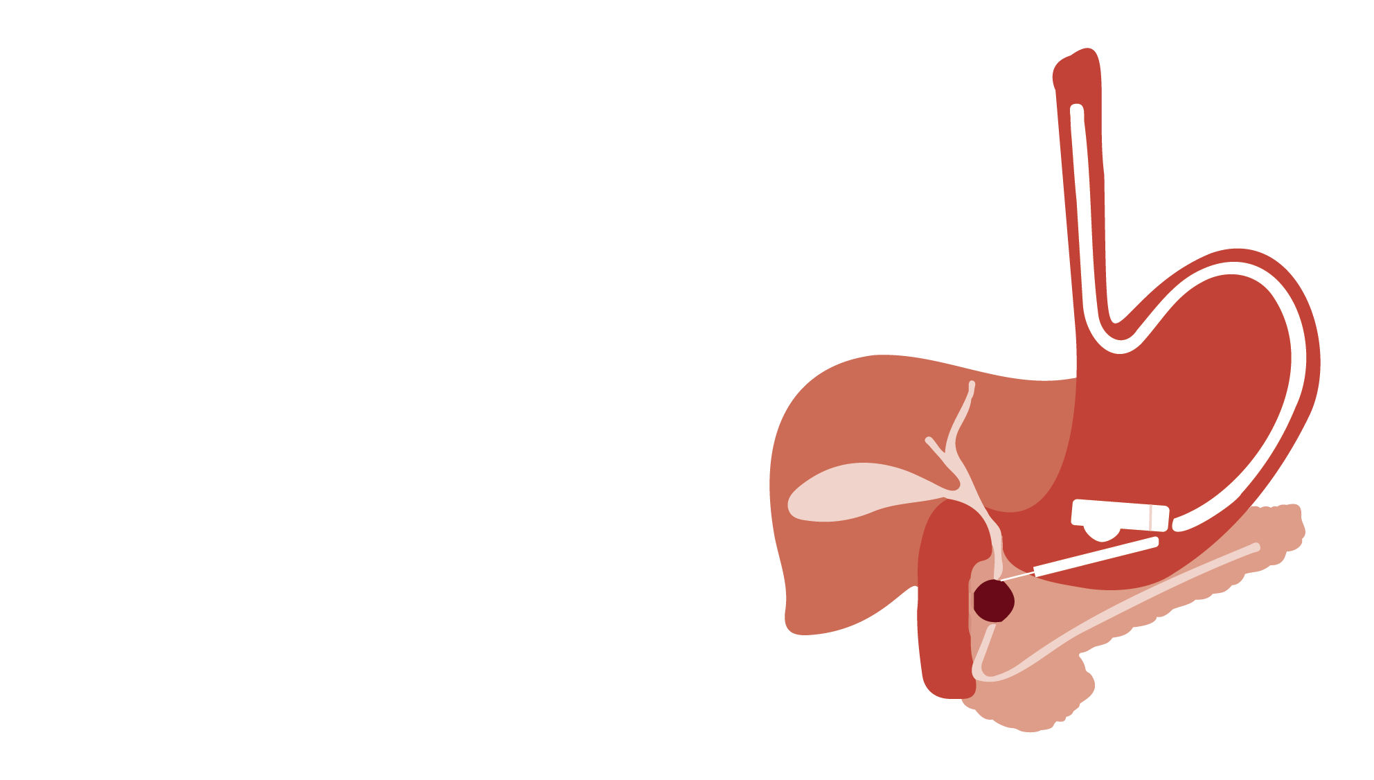 logo 10ma edicion